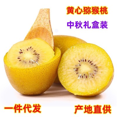 现货 一件代发 四川蒲江黄心猕猴桃奇异果当季时令新鲜现摘水果