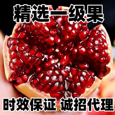 【精选一级果】四川会理石榴突尼斯软籽石榴红心甜石榴大果新鲜
