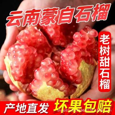云南蒙自石榴观颜品种产地直发批发3/5/6/8/9/10斤一件代发图2