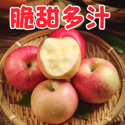 【菜鸟自有品牌】鲁丽苹果图2