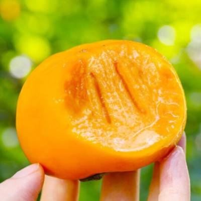 正宗广西巧克力甜脆柿子恭城月柿新鲜水果批发柿花果脆甜大柿子图4
