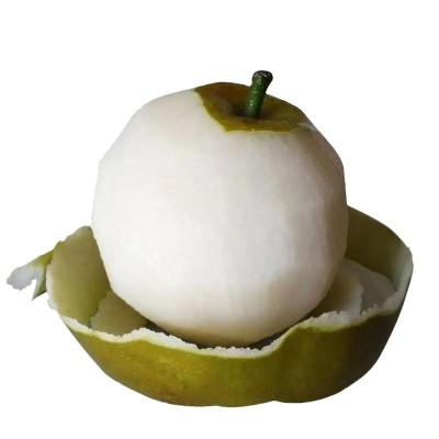 广西富川沙梨翠冠梨黄花梨桂花梨新鲜丰水梨薄皮脆甜多汁砀山梨图4