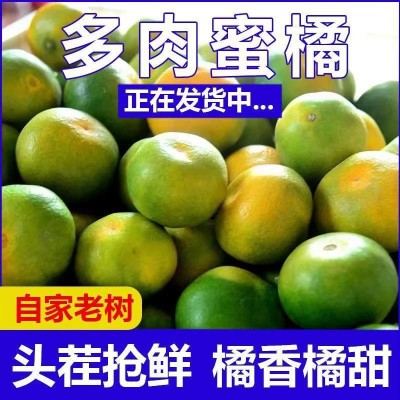 批发广西蜜柑砂糖蜜橘9斤大果桔子蜜桔新鲜孕妇水果皮薄多汁橘子图3