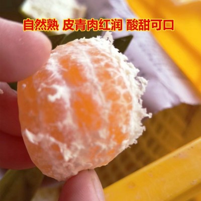 批发广西蜜柑砂糖蜜橘9斤大果桔子蜜桔新鲜孕妇水果皮薄多汁橘子图5