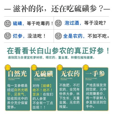 【9-13年干人参6支装】野山参生晒参长白山人参东北特产送礼佳品图2