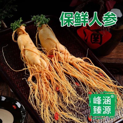 东北特产 长白山人参保鲜参煲汤泡酒地摊会销直播代发