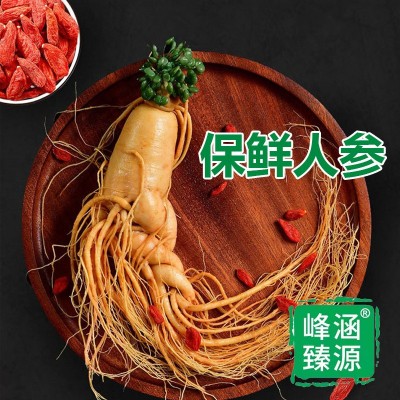 东北特产 长白山人参保鲜参煲汤泡酒地摊会销直播代发图3