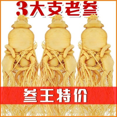 东北特产 长白山人参保鲜参泡酒煲汤直播代发产地货源