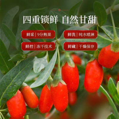 新本草甄选宁夏中宁枸杞代用茶新货500g/袋装枸杞子干货源头产地图1