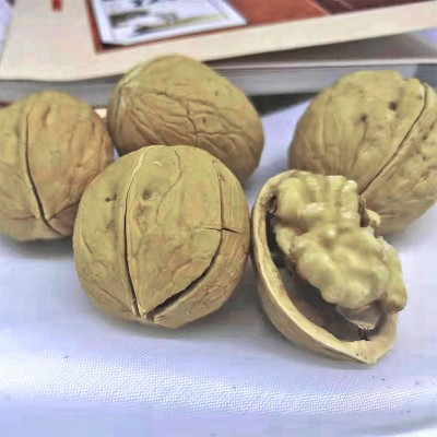 熟核桃新疆纸皮核桃阿克苏薄皮纸核桃手捏即开奶香椒盐味核桃图4