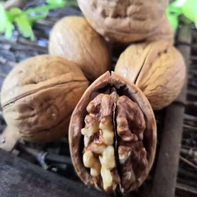 批发熟核桃袋装500克 散装开口手剥烤核桃干果零食新疆薄皮熟核桃图2