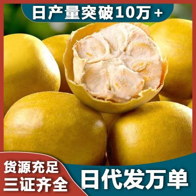 【源头厂家】黄金果大果干果独立包装脱水罗汉果大量批发桂林特产图4