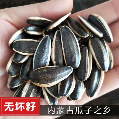 新货363原味熟瓜子内蒙古原味大瓜子葵花籽大颗粒生熟瓜子炒瓜子图3