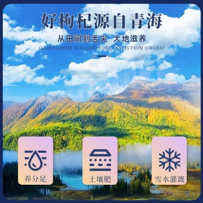 黑枸杞原浆汁鲜枸杞原浆宁夏构杞原液花青素口服液黑枸杞原浆汁图5