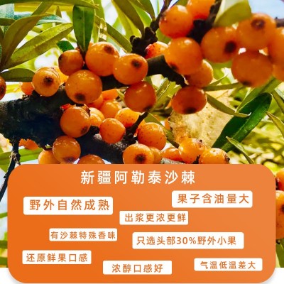 沙棘原浆鲜果压榨即食沙棘果浆饮料口服液沙棘浓缩汁礼原浆汁图2