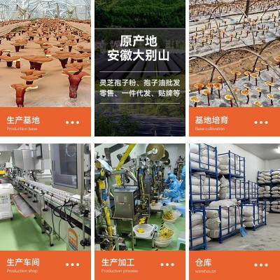 现货高含量灵芝孢子油软胶囊60粒/瓶超临界CO2萃取抖快一件代发图2