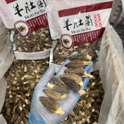 恒永堂川藏全规格厚肉羊肚菌批发足干头茬羊肚菌源头批发产地直供图3