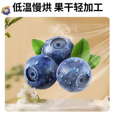 香妃蜜语蓝莓干即食水果干旅行聚会春游学生零嘴果脯200g分销代发图3