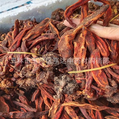 一手货源顶天柱 草苁蓉 不老草 回春草 草苁茸扎把款新货无碎图5