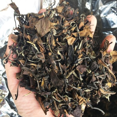 老白茶散茶 福鼎老白茶 散装500g高山日晒茶叶贡眉寿眉茶饼批发图5