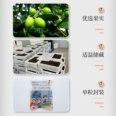 潮汕特产年货甘草橄榄 休闲茶点零食九制橄榄蜜饯果脯干散 装批发图3