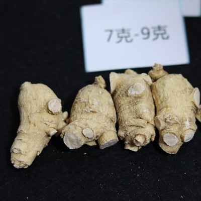 长白山西洋参粒头花旗参批发国产西洋参批发源产地供应东北特产图3