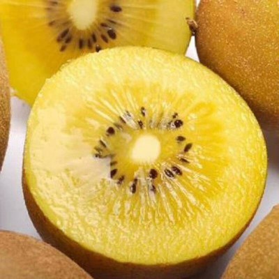 弥猴桃四川蒲江黄心猕猴桃新鲜水果当季整箱大果狝应季奇异果代发