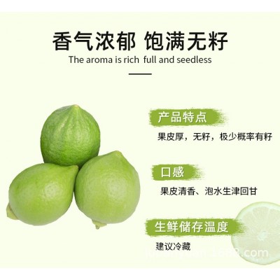 正宗产地广东香水柠檬小青果咖啡奶茶店专用无籽新鲜四季厂家直销图4