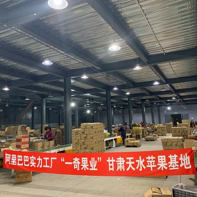 现货甘肃天水花牛苹果 代发3/5斤精品当季新鲜水果宝宝辅食苹果图3