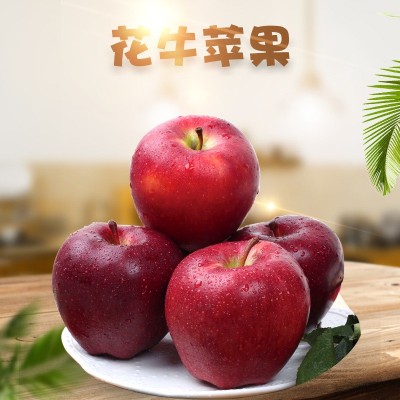 现货甘肃天水花牛苹果 代发3/5斤精品当季新鲜水果宝宝辅食苹果图5
