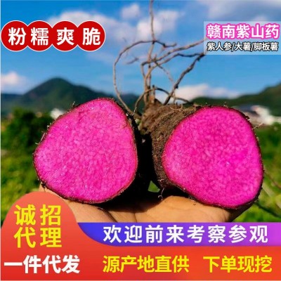 江西赣南紫山药新鲜蔬菜脚板薯紫薯现挖紫玉淮山铁棍山药整箱批发