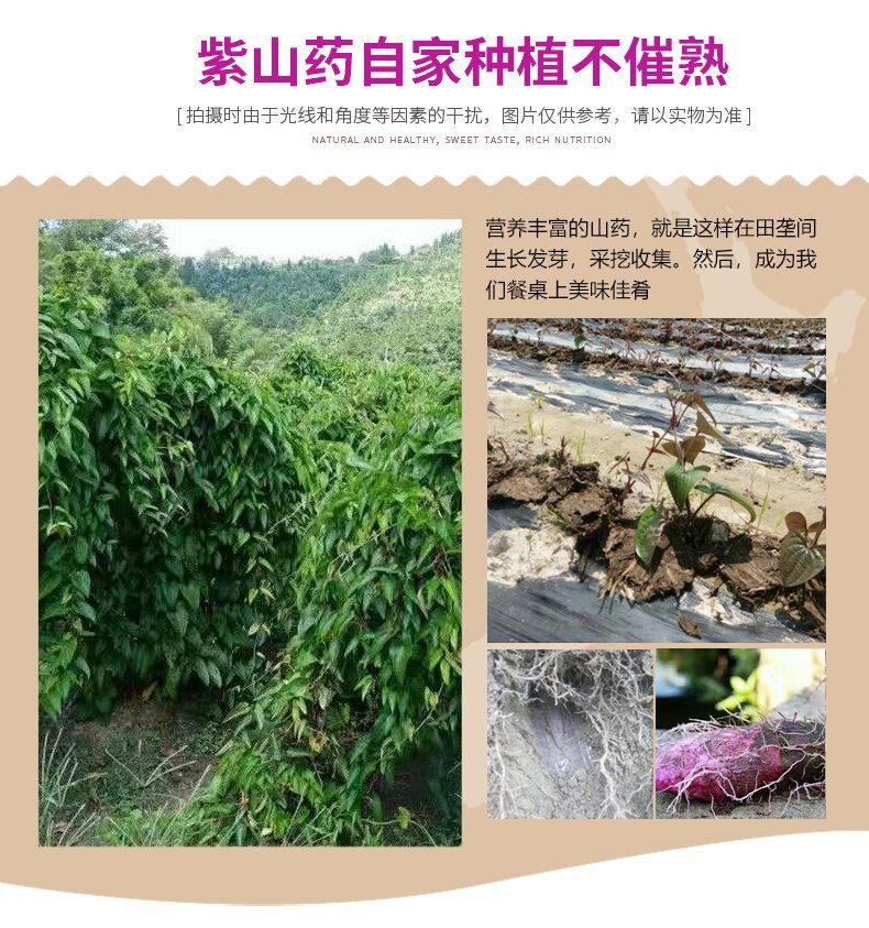 详情_02_proc.jpg
