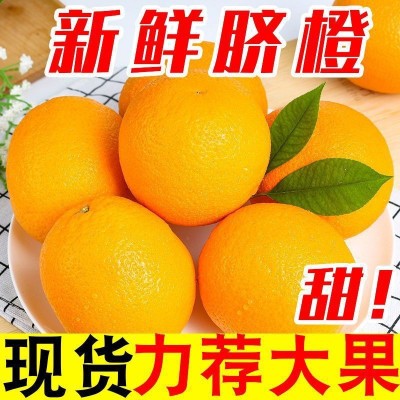 脐橙批发当季橙子新鲜水果正宗赣南脐橙图2
