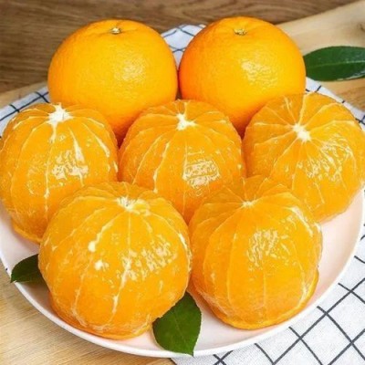 脐橙批发当季橙子新鲜水果正宗赣南脐橙图4