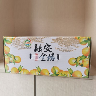滑皮金桔水果生鲜金桔现采直发脆爽香甜质量保证皮薄图4