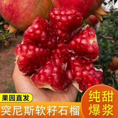 突尼斯软籽石榴四川会理当季新鲜水果石榴纯甜红籽水晶甜石榴批发图4
