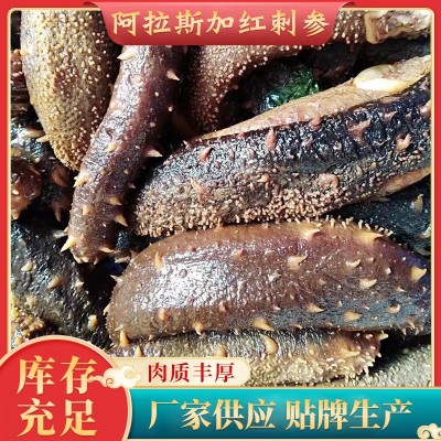 海参食材阿拉斯加红刺参鲜食10斤一箱批发海参刺参海参干货图2