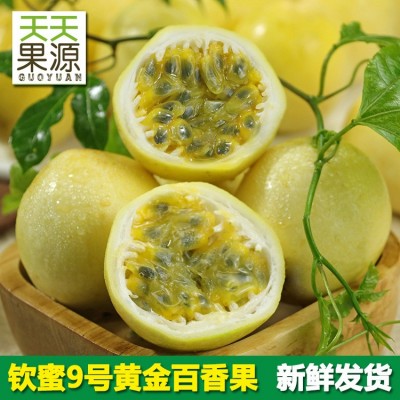 产地货源广西黄金百香果5斤装鸡蛋果西番莲当季水果批发钦蜜9号