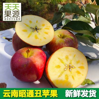 产地货源 云南昭通苹果5斤装冰糖心丑苹果红富士花牛批发一件代发