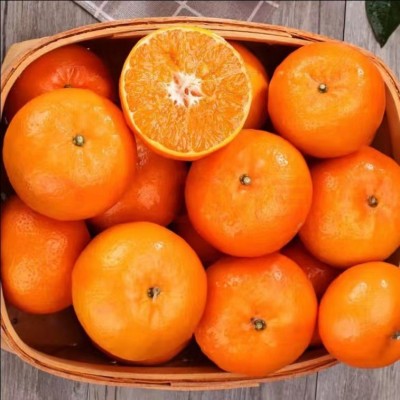 薄皮沃柑正宗新鲜当季水果橘柑桔子纯甜批发图3