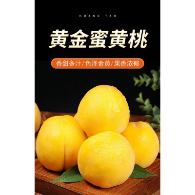 黄金蜜黄桃新鲜水果应当子大果时令蜜桃脆桃整箱包邮