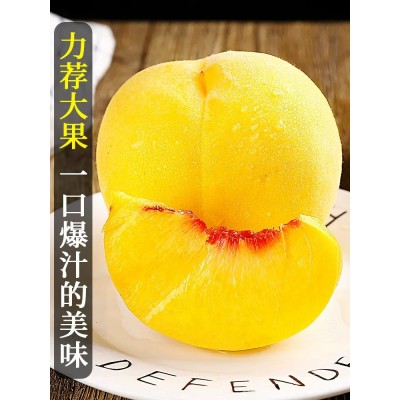 黄金蜜黄桃新鲜水果应当子大果时令蜜桃脆桃整箱包邮图3