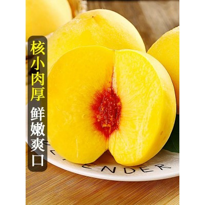黄金蜜黄桃新鲜水果应当子大果时令蜜桃脆桃整箱包邮图5