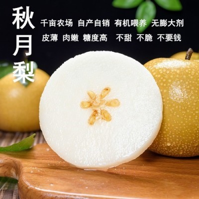 顺丰正宗莱阳秋月梨冰糖新鲜4/5斤梨子山东大果当季甜礼盒装家庭