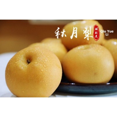 顺丰正宗莱阳秋月梨冰糖新鲜4/5斤梨子山东大果当季甜礼盒装家庭图5