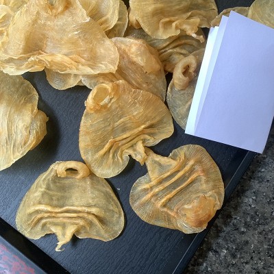 34头湛江赤嘴母胶 精选无油黄腊色厚肉 本港赤咀母肚鱼胶花胶干货图3