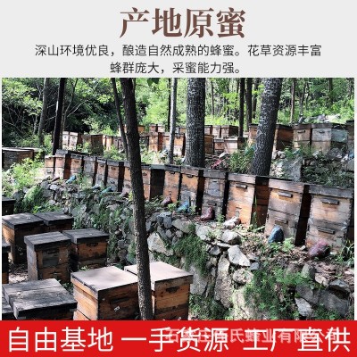 荆条蜜结晶蜂蜜蜂蜜500g瓶团购送礼深山农家自产荆花蜂蜜源头工厂图4