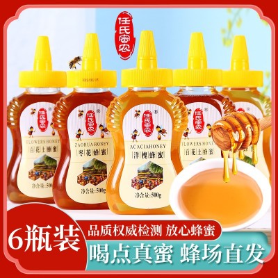 6瓶装500g蜂蜜纯正天然农家百花蜜正宗蜂蜜大自然无添加