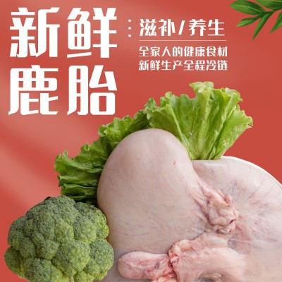 瑞宏鹿业 批发梅花鹿鹿血胎 干鹿胎 鲜鹿胎 鹿胎盘 鹿依一件代发图1