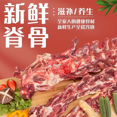 瑞宏批发优质梅花鹿脊骨 新鲜脊骨 后背骨煲汤脊骨干净脊骨肉脊骨